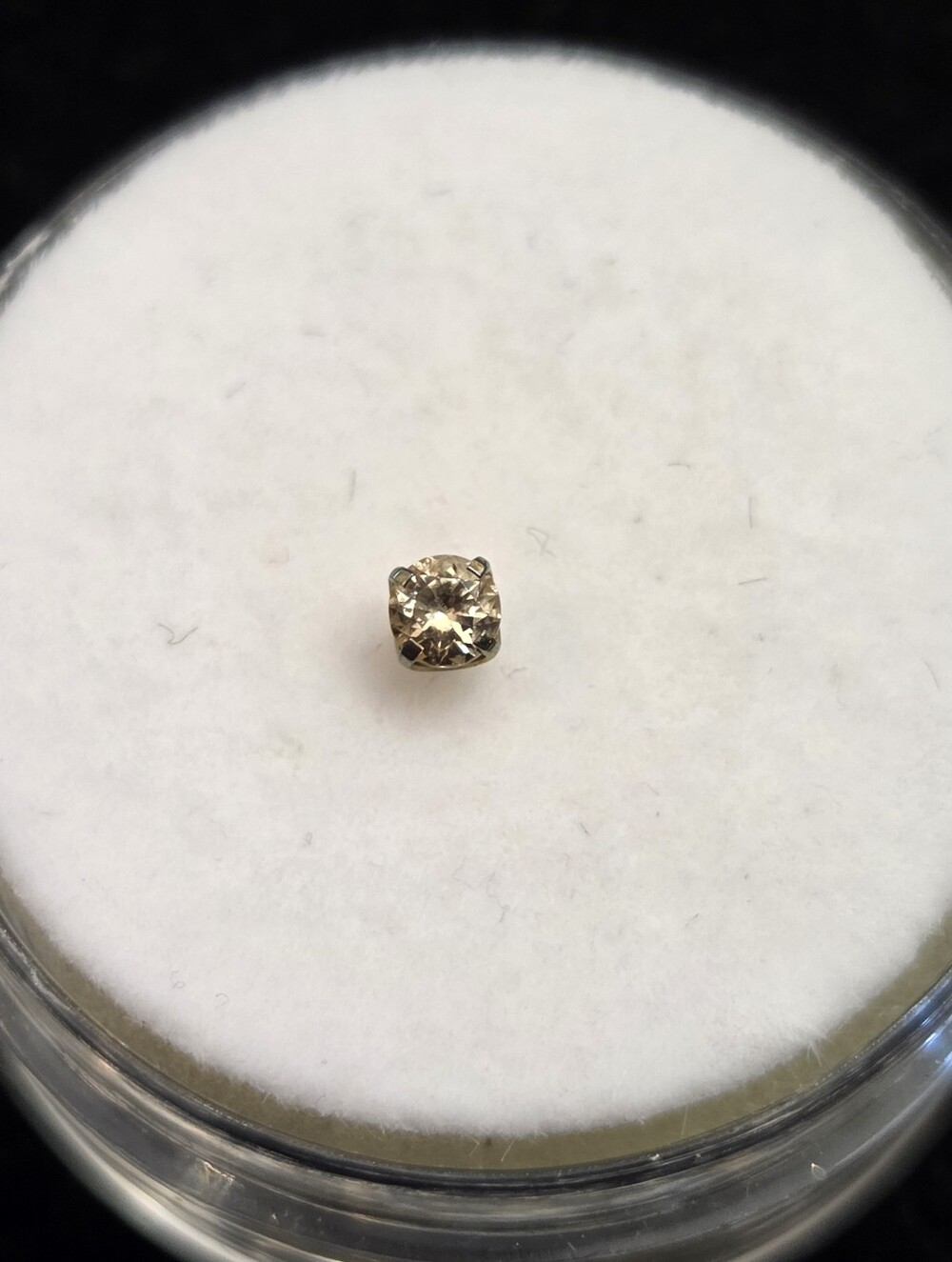 NeoMetal Threadless Titanium Prong-set Gem End Champage 2.5mm